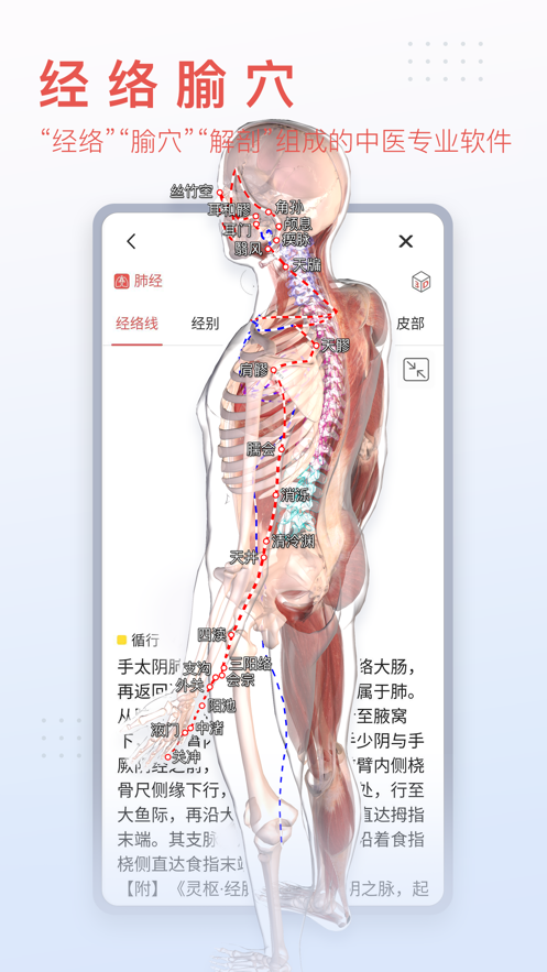 3Dbodyappv8.8.21 °