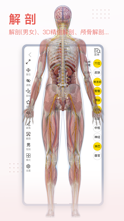 3Dbodyappv8.8.21 °