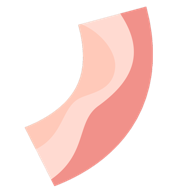 Ϸ(Bacon)v1.41 ׿