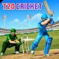 T20Ϸذװ(T20 Cricket League)