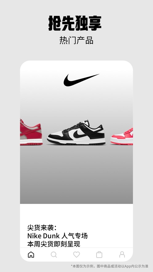 Nike Ϳappͼ2