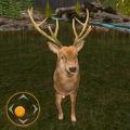 ¹ϷǹսϷذװ(Deer Huter Game: Gun Games)v1.0.1 ׿
