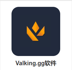 Valking.gg app