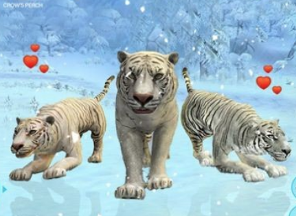 Ұ׻ͥģ(Wild White Tiger Family Sim)