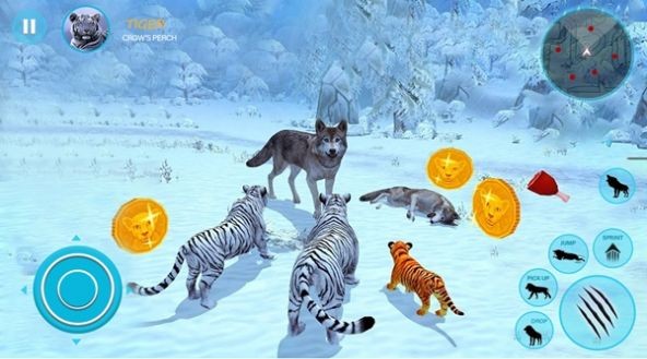 Ұ׻ͥģ(Wild White Tiger Family Sim)ͼ2