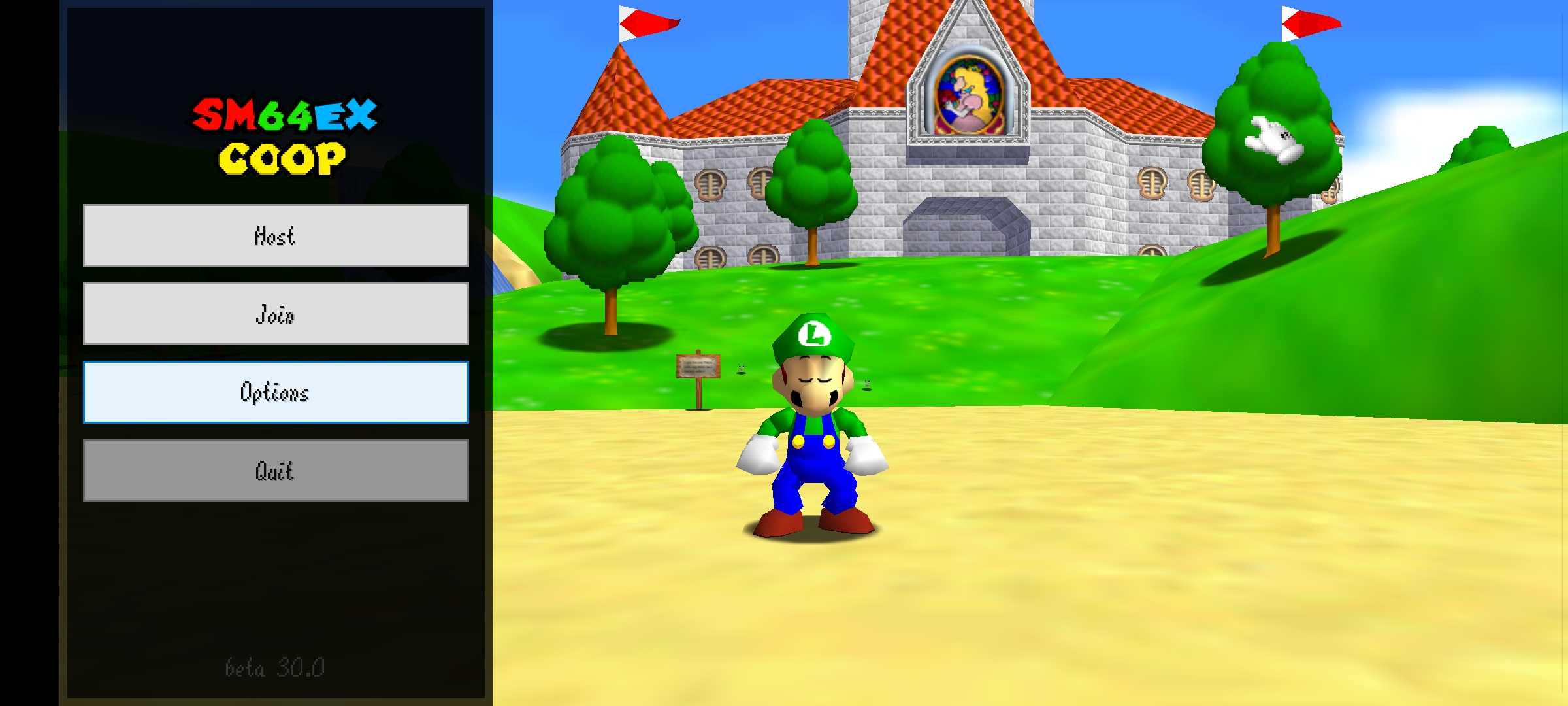 RW64İ(sm64ex-coop)v1.0 ׿