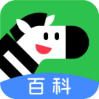 斑马百科app下载v1.1.1 最新版
