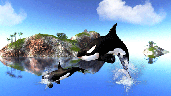 ģ(The Killer Whale)v1.0.9 ׿