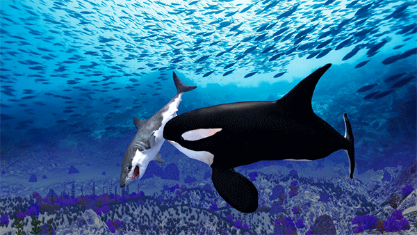 ģ(The Killer Whale)v1.0.9 ׿