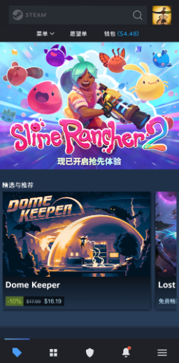 steam app