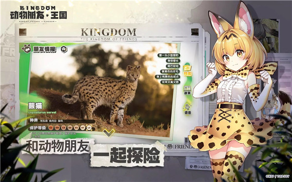 (dng)(gu)Α(Kemono Friends: Kingdom)v1.0.5 °