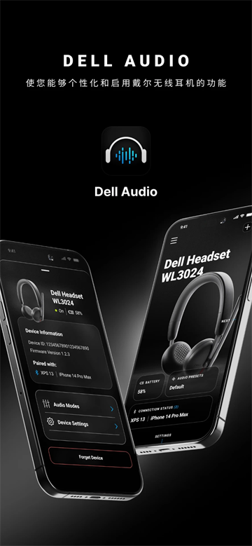 Dell Audio ܛ