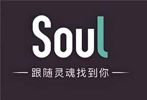 soul soulôȷһ