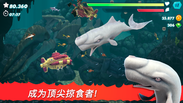 °汾(Hungry Shark)v12.2.4 ׿