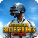 pubgʷ(PUBG MOBILE)v3.4.0 °