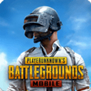 ̼սʷ(PUBG MOBILE)v3.4.0 ׿