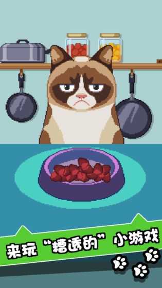 ˬèϷ(Grumpy Cat)v1.4.1 ׿