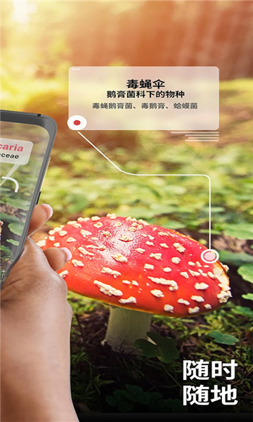 Ģʶ(Picture Mushroom)v2.9.24 °