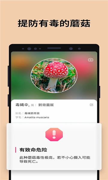 ĢRe(Picture Mushroom)v2.9.24 °