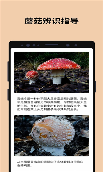 ĢRe(Picture Mushroom)v2.9.24 °