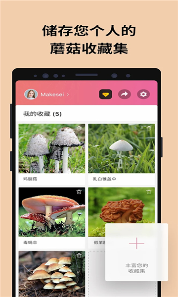 Ģʶ(Picture Mushroom)v2.9.24 °