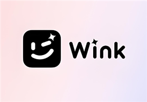 winkôƵʵ winkô޸Ƶ