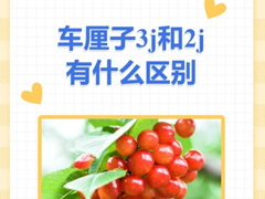 ӴСȼJʲô˼ 2j3j4jʲô˼