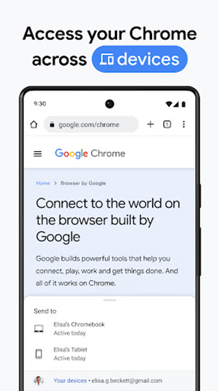 ȸ˿ȸ澫(Chrome Canary)v128.0.6583.0 ׿