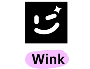 WinkôرԶ WinkرԶѲ