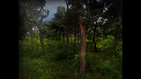 翌日森之声游戏 翌日森之声游戏