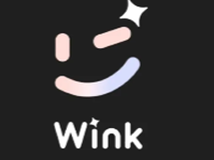 Wink��ô�ر��Զ����� Wink�ر��Զ����Ѳ���