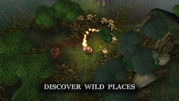 Ŀ񱩿°汾(Runic Rampage)v1.08 ֻ