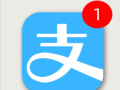 ֧��������հ�� ֧�����հ�Ѳ���