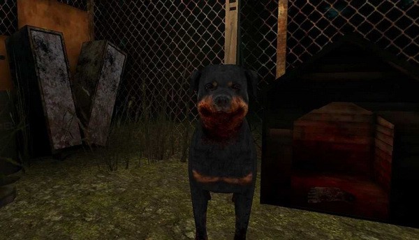 ֲͷİ(HeadHorse)v1.2.98 ֻ