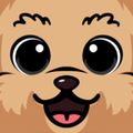 ϲֽ籾Ϸ(Merge Sticker Playbook 2D)v1.20.13 ֻ