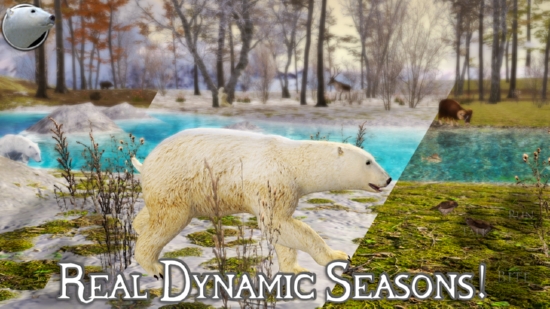 ģ2İ(PolarBear2)v1 °