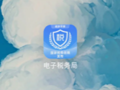 ����˰�����������ʧ����ô��� ����˰�����������ʧ�ܴ��ĸ��绰��ѯ