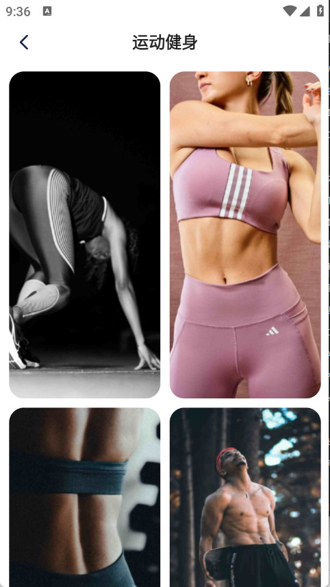 灵蝶壁纸app 灵蝶壁纸app