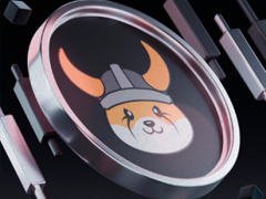 floki�һ��ǵ�1��Ԫ�� FLOKI������Ԥ��