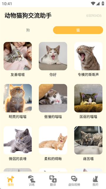 动物猫狗交流助手app 动物猫狗交流助手app