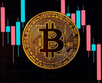 web安卓版下载 web安卓版下载