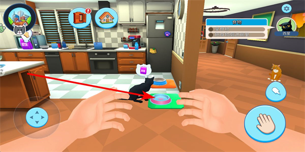 ССè֮����Ϸ