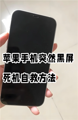 ƻ���ֻ���ʧ����ô׷���ֻ�λ�� ƻ���ֻ���ʧ�˶Է��ػ�����ô��