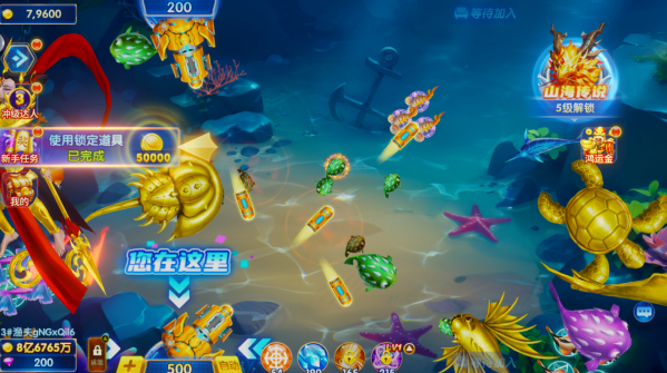 ���㾺����Ϊ����������