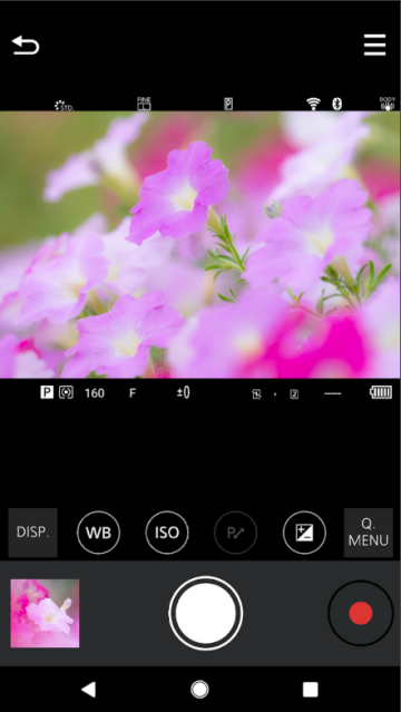 ����LUMIX Sync�ٷ���