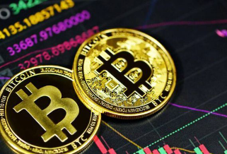 ŷy������APP����