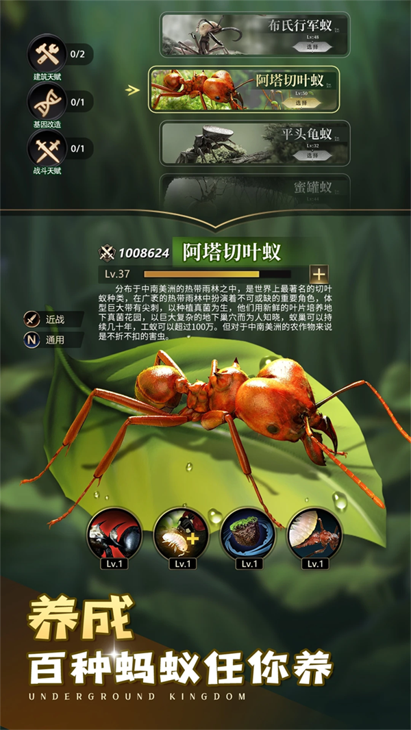 СС�Ϲ�Ӧ�ñ�v3.0.60 �ֻ���