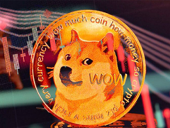 doge��app��ô���� doge��δ����ֵǰ��