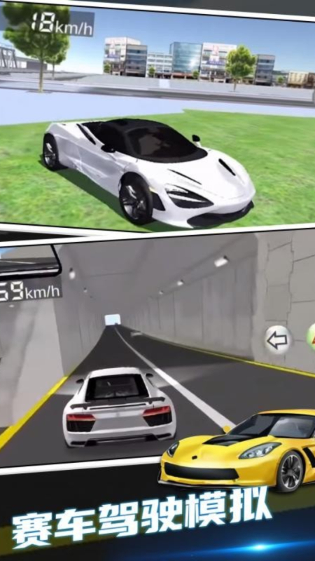 疯狂赛车驾驶模拟器v1.292.05 安卓版