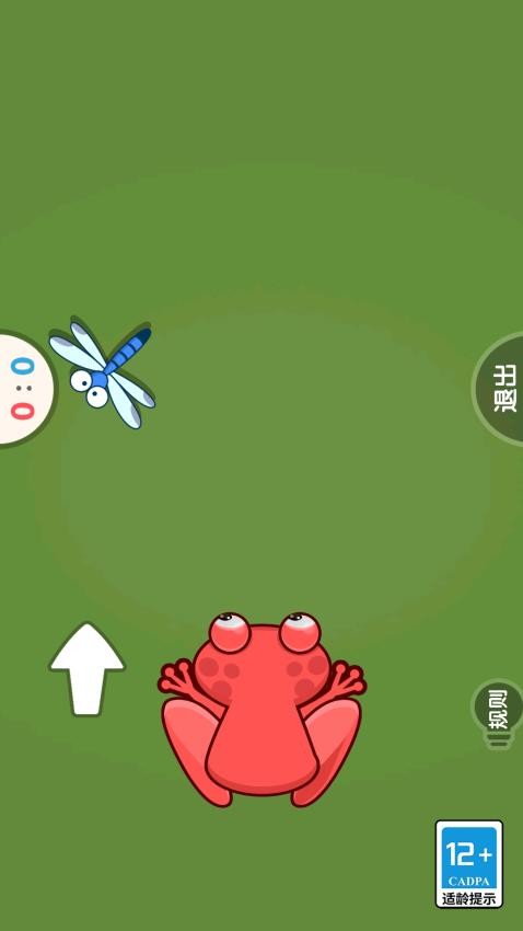 双人对抗赛华为版